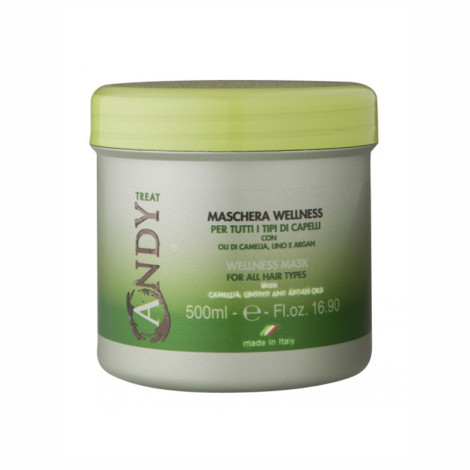Маска для волос Dikson Andy Maschera Wellness для здоровья с витаминами и маслом камелии 500 мл