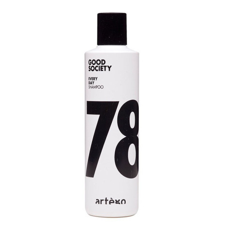 Ежедневный шампунь для волос Artego Good Society Every Day '78 250 мл
