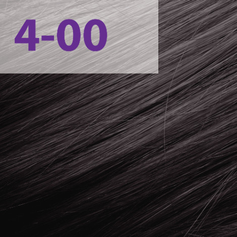 Краска для волос Acme-Professional Siena 4/00 коричневый 90 мл