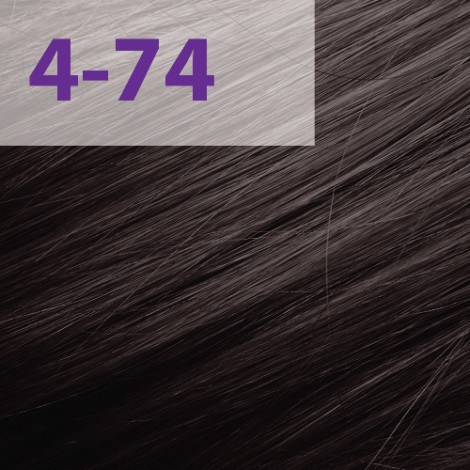 Краска для волос Acme-Professional Siena 4/74 темный палисандр 90 мл