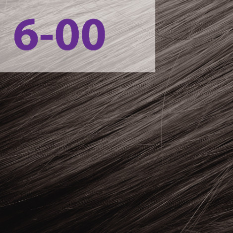 Краска для волос Acme-Professional Siena 6/00 натуральный светло-коричневый 90 мл