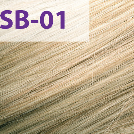 Краска для волос Acme-Professional Siena Special Blond SB/01 холодный блонд 90 мл