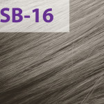 Краска для волос Acme-Professional Siena Special Blond SB/16 платиновый блонд 90 мл (Фото #1)