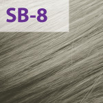 Краска для волос Acme-Professional Siena Special Blond SB/8 скандинавский блонд 60 мл (Фото #1)
