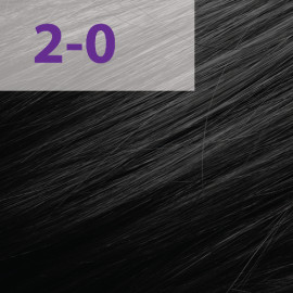 Краска для волос Acme-Professional Siena 2/0 черный 90 мл