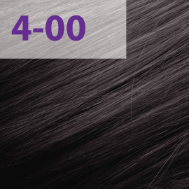 Краска для волос Acme-Professional Siena 4/00 коричневый 90 мл