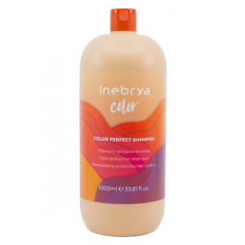 Идеальный шампунь для окрашенных волос Inebrya Color Perfect Shampoo 1000 мл