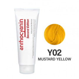 Гель-краска для волос Anthocyanin Second Edition Y02 Mustard Yellow 230 г