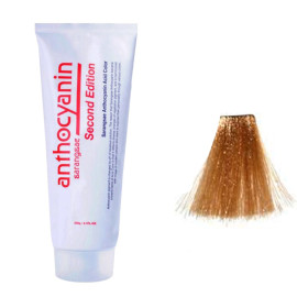 Гель-краска для волос Anthocyanin Second Edition WA03 Mud Brown 230 г