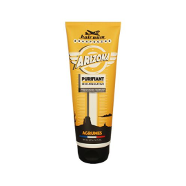 Шампунь для жирных волос Hairgum Arizona Shampoo with sebum-control active ingredient 200 мл