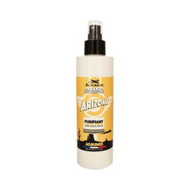 Лосьон для жирных волос Hairgum Arizona hair lotion with sebum-control active ingredient 200 мл