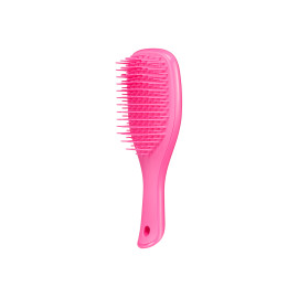Щетка для волос Tangle Teezer The Wet Detangler Mini Pink Sherbet