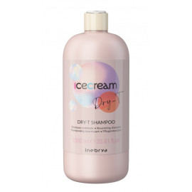 Шампунь для сухих вьющихся и окрашенных волос Inebrya Shampoo Dry-T 1000 мл