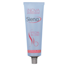 Краска для волос Acme-Professional Siena Special Blond SB/01 холодный блонд 90 мл