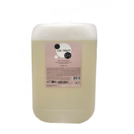 Шампунь для сухих вьющихся и окрашенных волос Inebrya Shampoo Dry-T 10 л