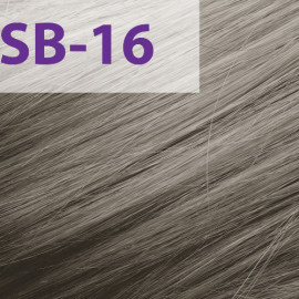 Краска для волос Acme-Professional Siena Special Blond SB/16 платиновый блонд 90 мл