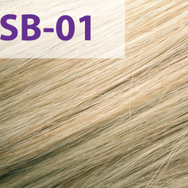 Фарба для волосся Acme-Professional Siena Special Blond SB/01 холодна блондинка 90 мл